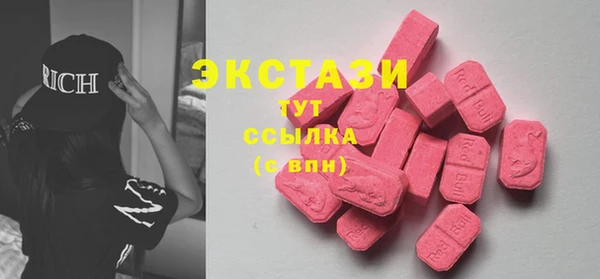 ECSTASY Бородино