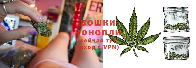 Канабис OG Kush  Кызыл 